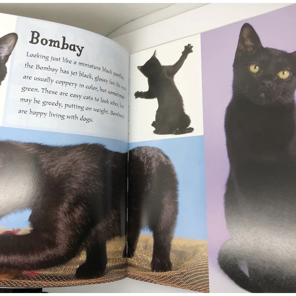 I Love: Cats and Kittens by Alderton, David (2014) Paperback Information Book‎